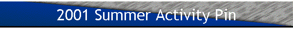 2001 Summer Activity Pin