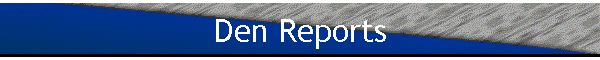Den Reports
