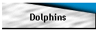 Dolphins