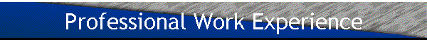 Professional Work Experience