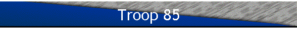 Troop 85