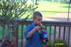Cooper.JPG (389835 bytes)